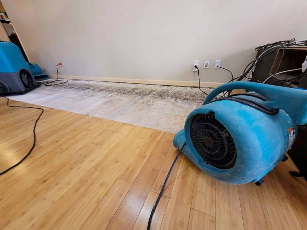 Professional Water Extraction technician working in Newtown Square, PA